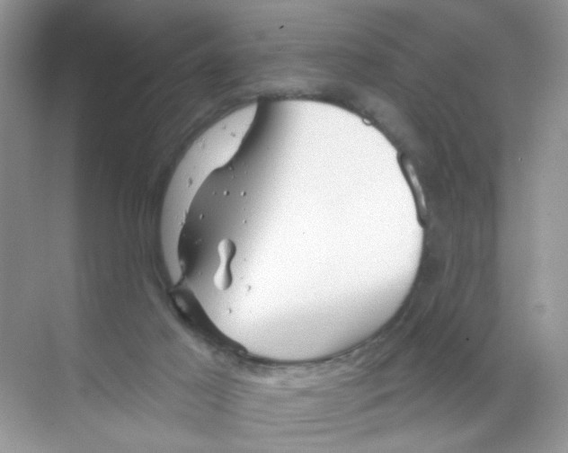 X0000068890021200606021931