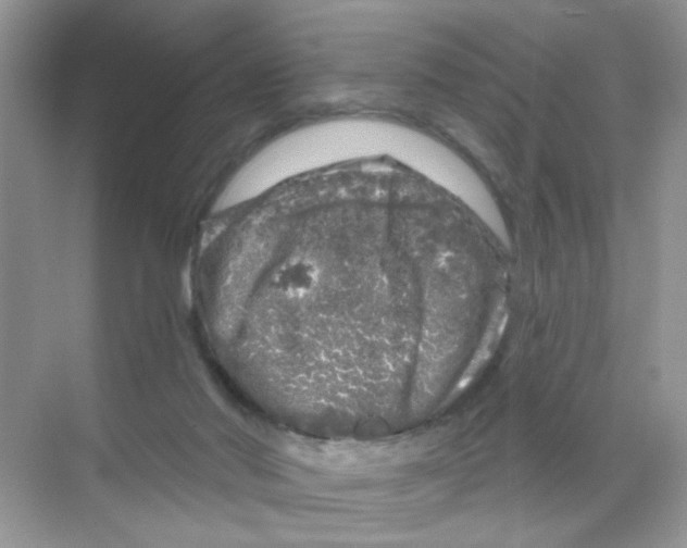 X0000068890022200606021931