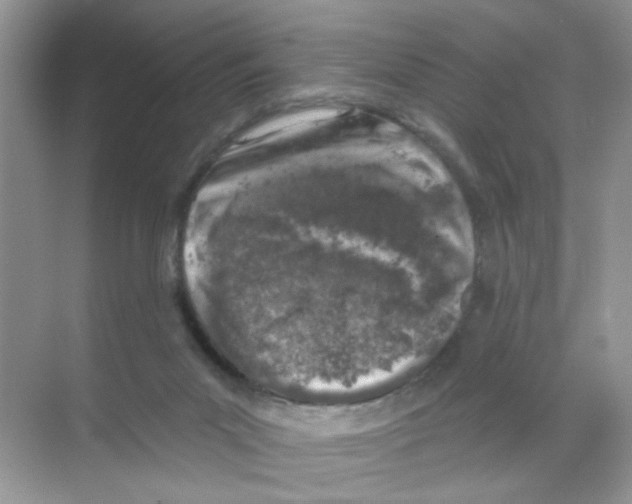 X0000068890023200606021931