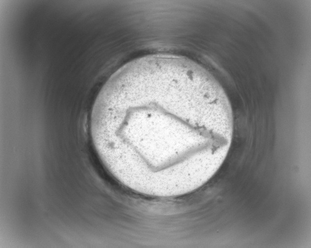 X0000068890024200606021931