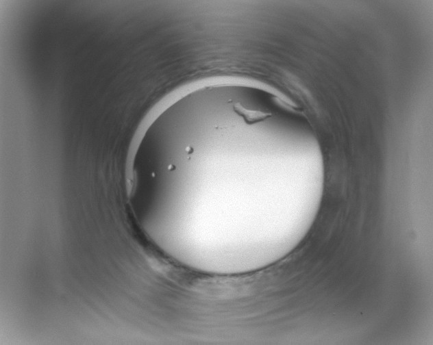 X0000068890025200606021931