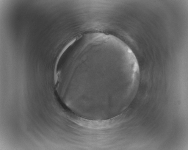 X0000068890027200606021931