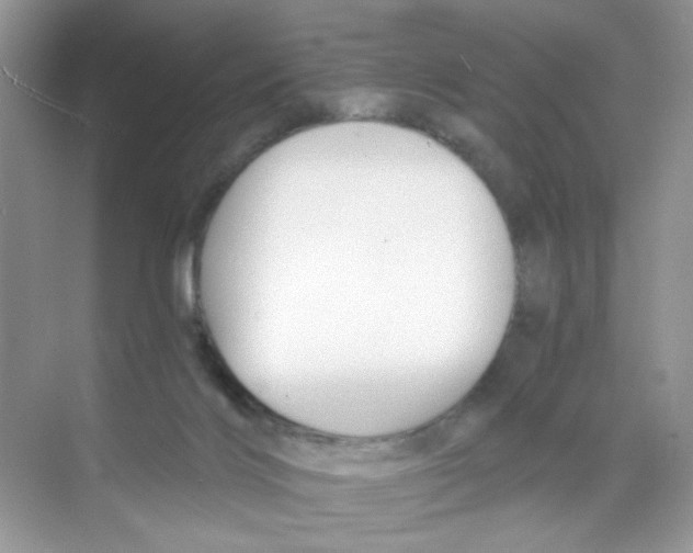 X0000068890028200606021931