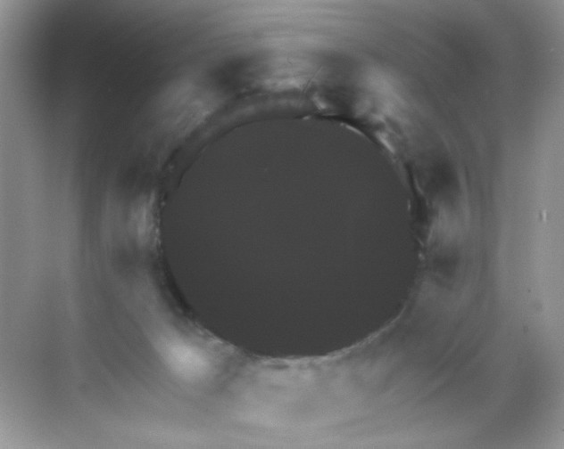 X0000068890029200606021931