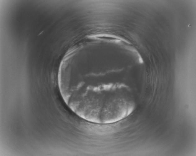 X0000068890031200606021931