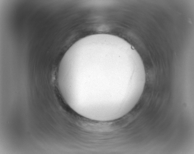 X0000068890032200606021931