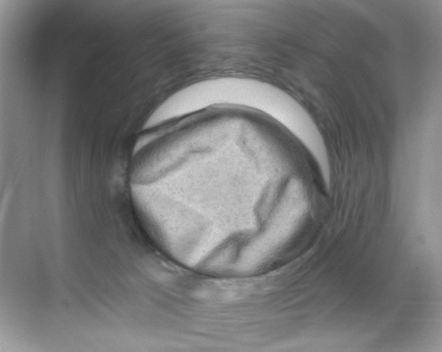 X0000068890033200606021931