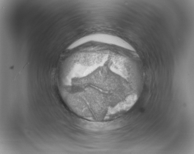 X0000068890034200606021931