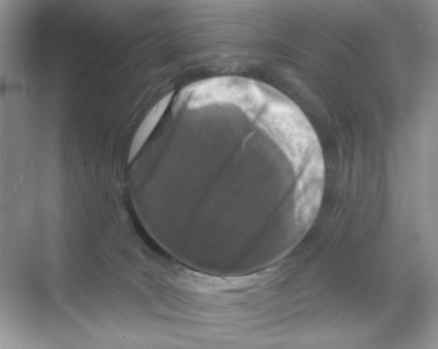 X0000068890035200606021931