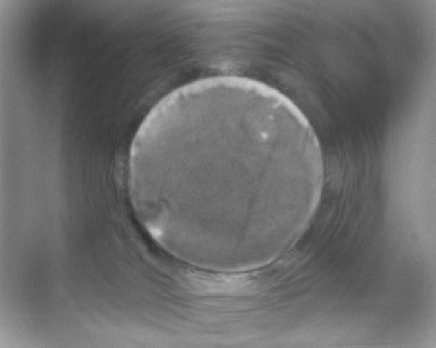 X0000068890036200606021931