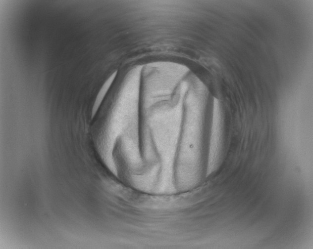 X0000068890037200606021931