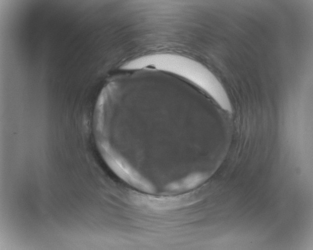 X0000068890039200606021931