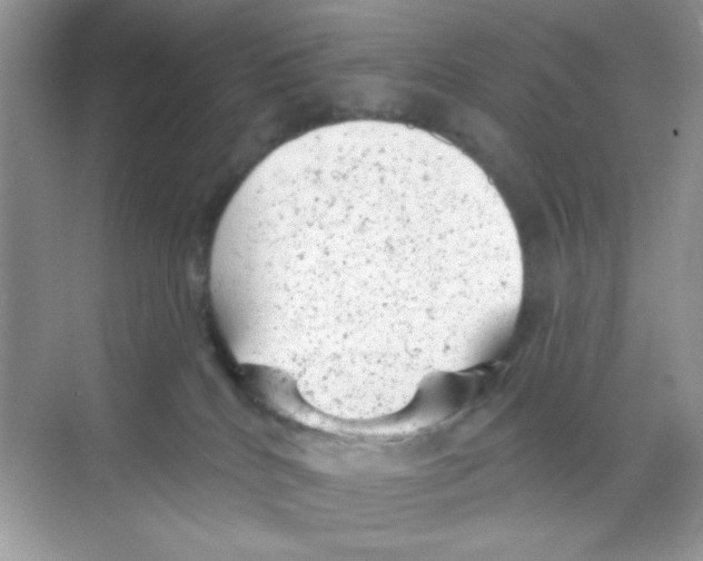 X0000068890040200606021931