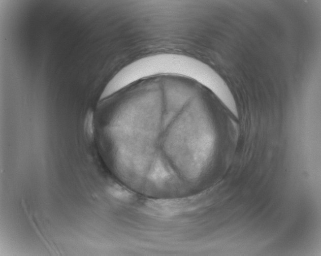 X0000068890041200606021931