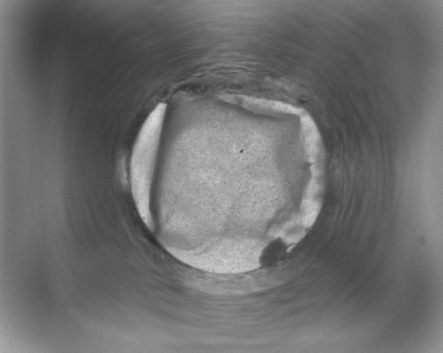 X0000068890042200606021931