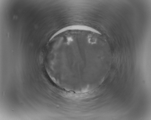 X0000068890043200606021931