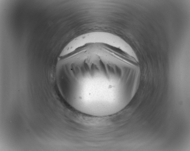 X0000068890044200606021931