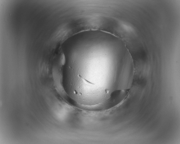 X0000068890045200606021931