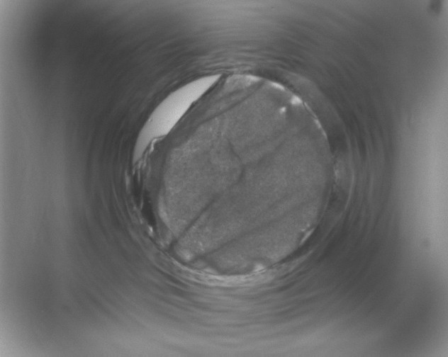 X0000068890046200606021931