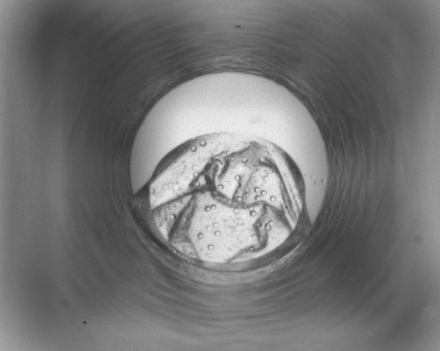 X0000068890047200606021931