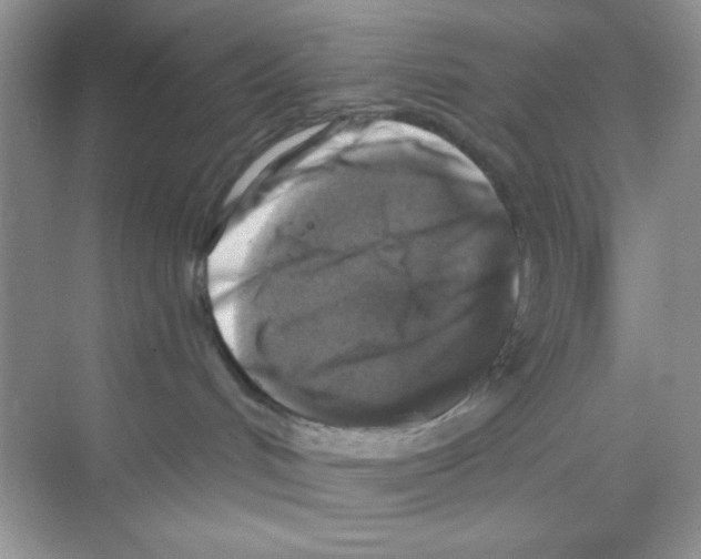 X0000068890048200606021931