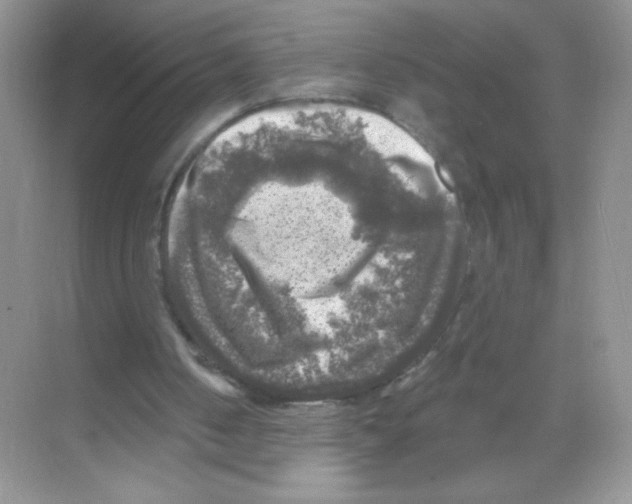 X0000068890050200606021930