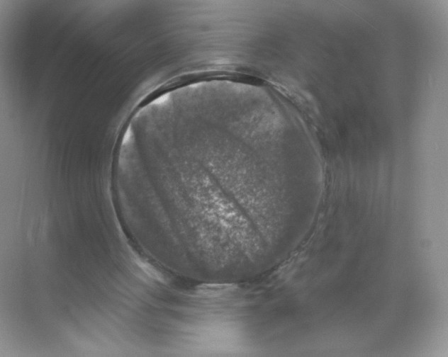 X0000068890051200606021930