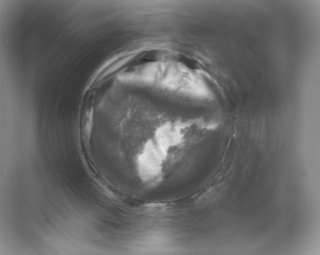 X0000068890052200606021930