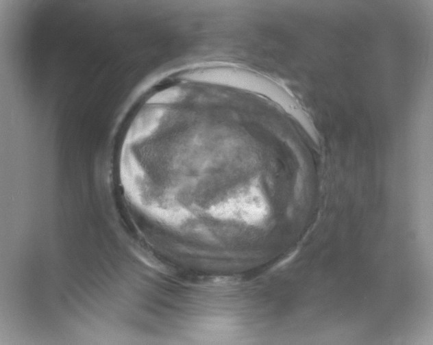 X0000068890056200606021930