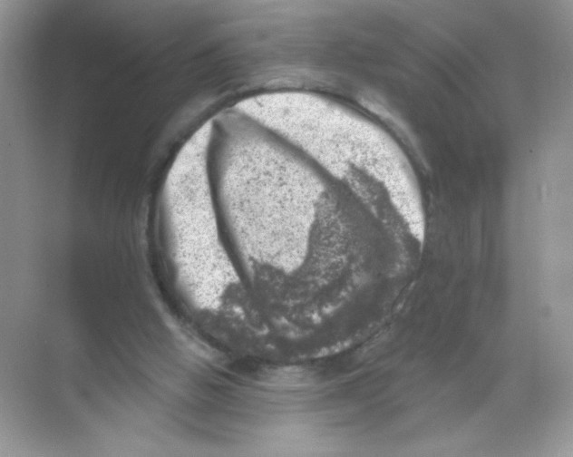 X0000068890058200606021930