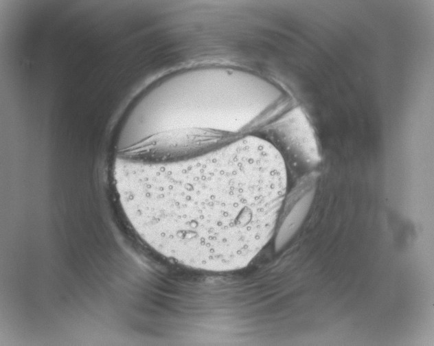 X0000068890060200606021930