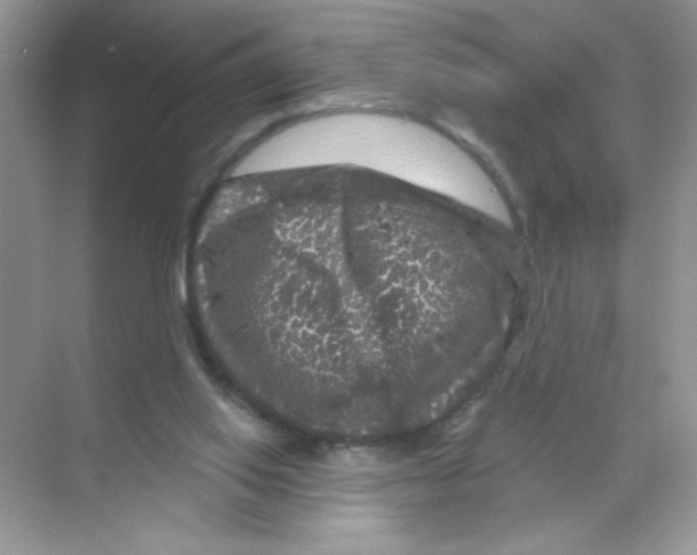 X0000068890062200606021930