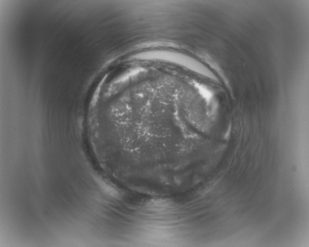 X0000068890063200606021930