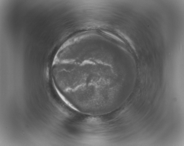 X0000068890067200606021930