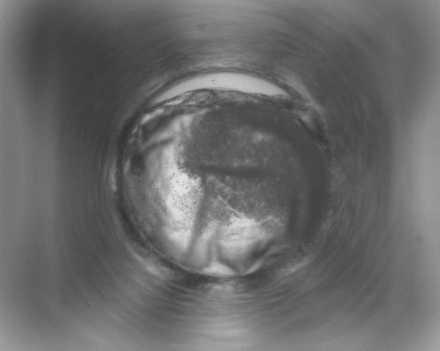 X0000068890068200606021930