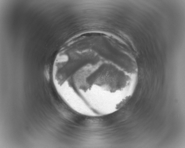 X0000068890069200606021930