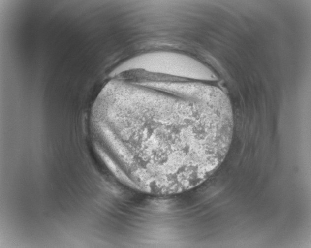 X0000068890071200606021930