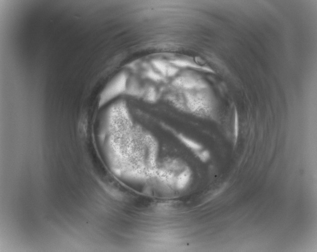 X0000068890072200606021930