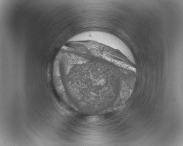 X0000068890074200606021930