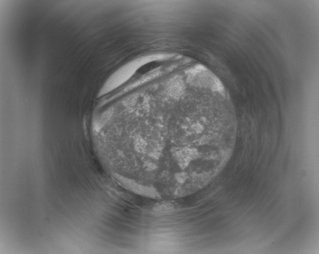 X0000068890075200606021930