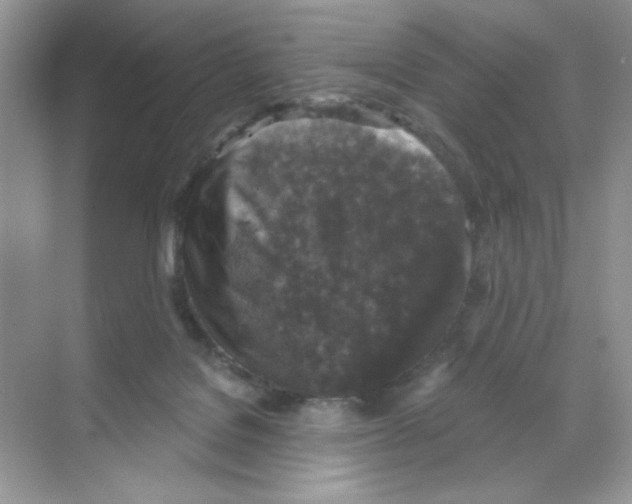 X0000068890076200606021930