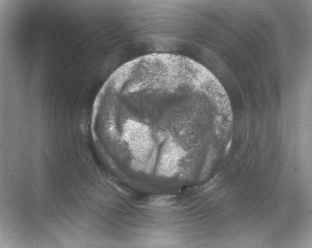 X0000068890078200606021930