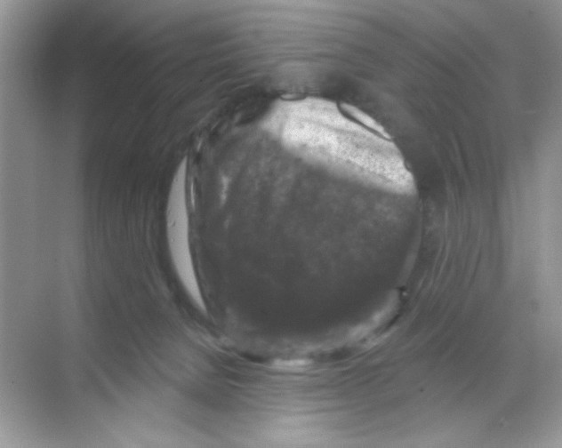 X0000068890080200606021930