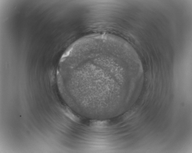 X0000068890081200606021930