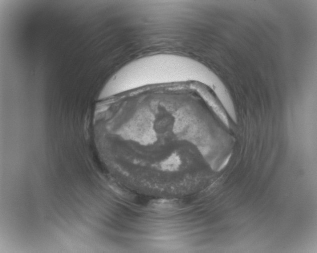 X0000068890082200606021930