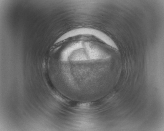 X0000068890084200606021930