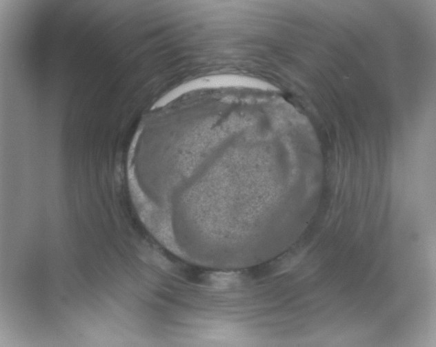 X0000068890085200606021930