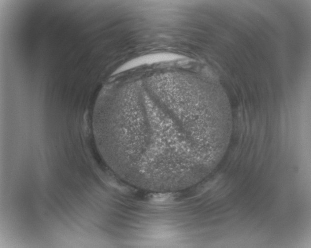 X0000068890088200606021930