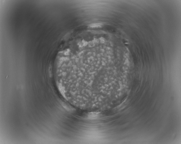 X0000068890090200606021930