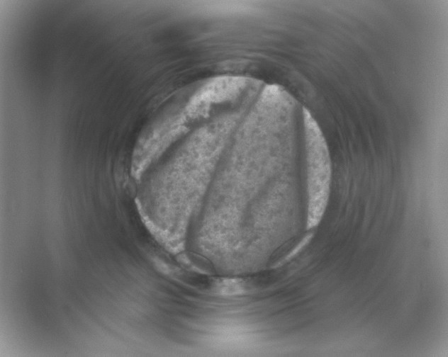 X0000068890091200606021930